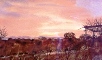 	13. Sunset by June Cutler.JPG	